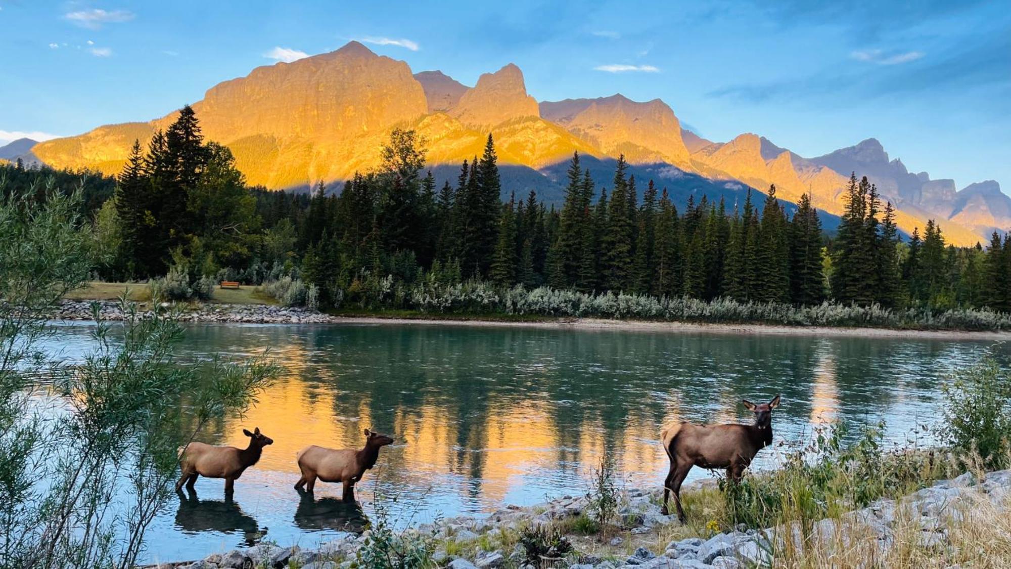 Apartmán Unit #201 Cozy Mountain View 1Br In Dt Canmore Exteriér fotografie